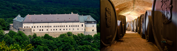 Small Carpathian Wine Tour